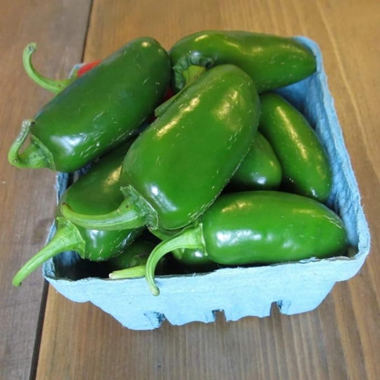 TAM Jalapeno with fiery hot pepper seeds for planting TAM Jalapeno avec des graines de piment fort ardents pour la plantation