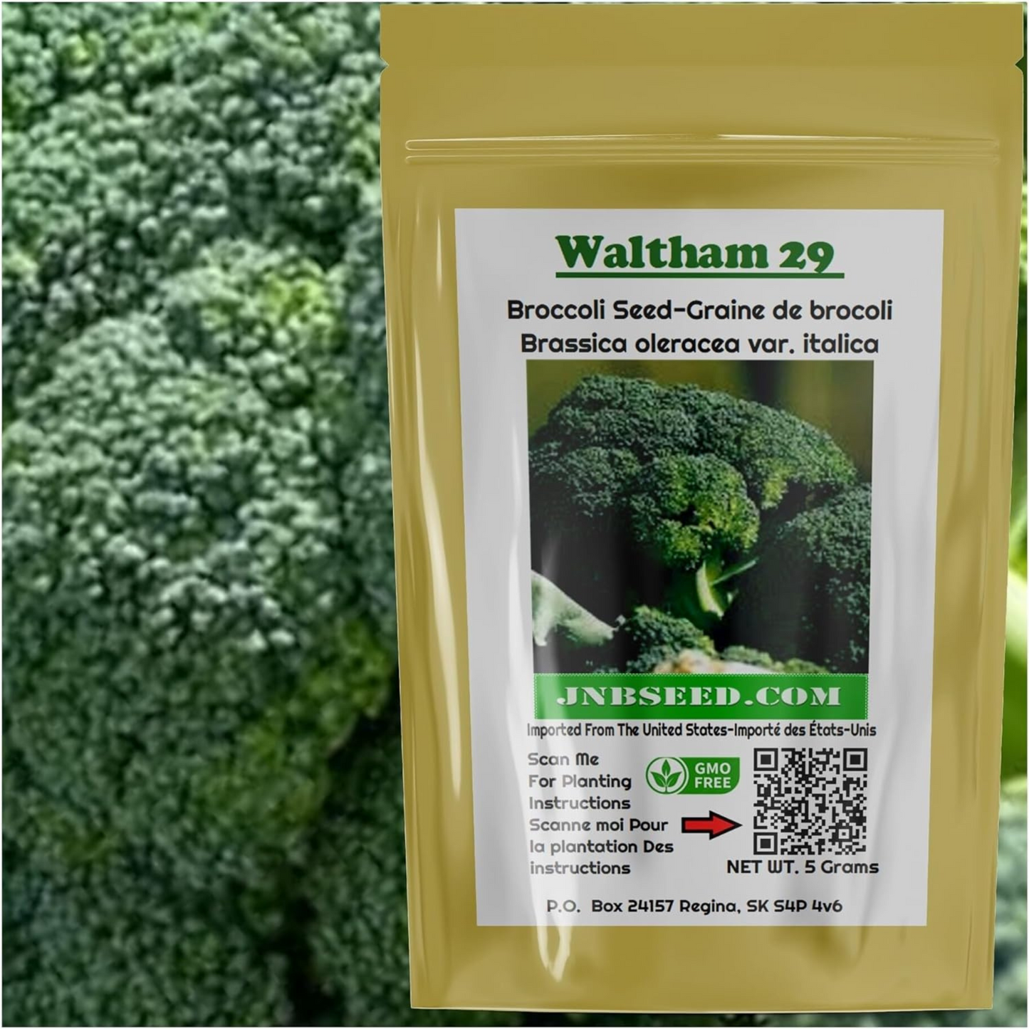 Plant Waltham 29 Broccoli and enjoy fresh broccoli. Plantez du brocoli Waltham 29 et dégustez du brocoli frais.