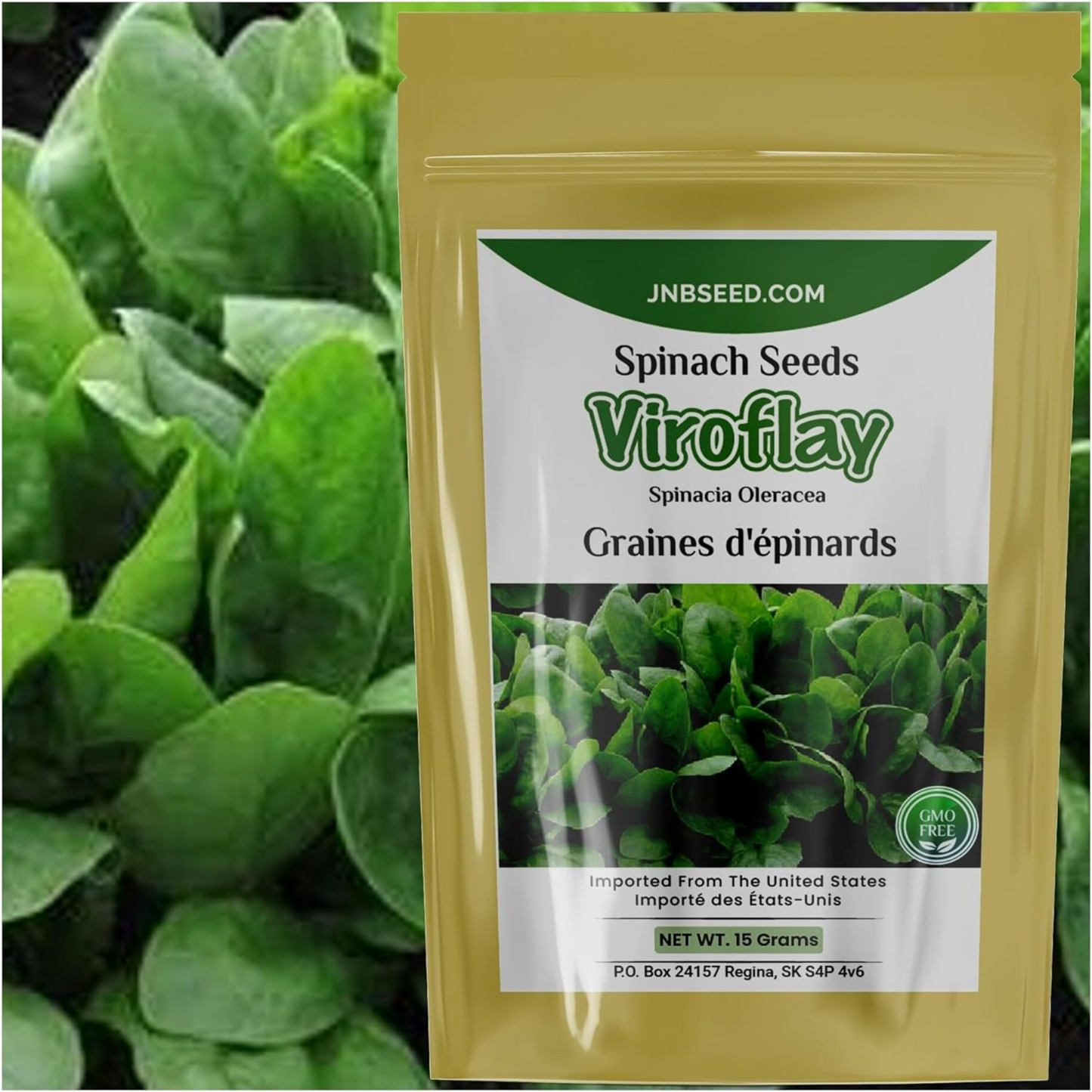 Premium Spinach, start your spinach garden today! Épinards Premium, commencez votre jardin d'épinards aujourd'hui!