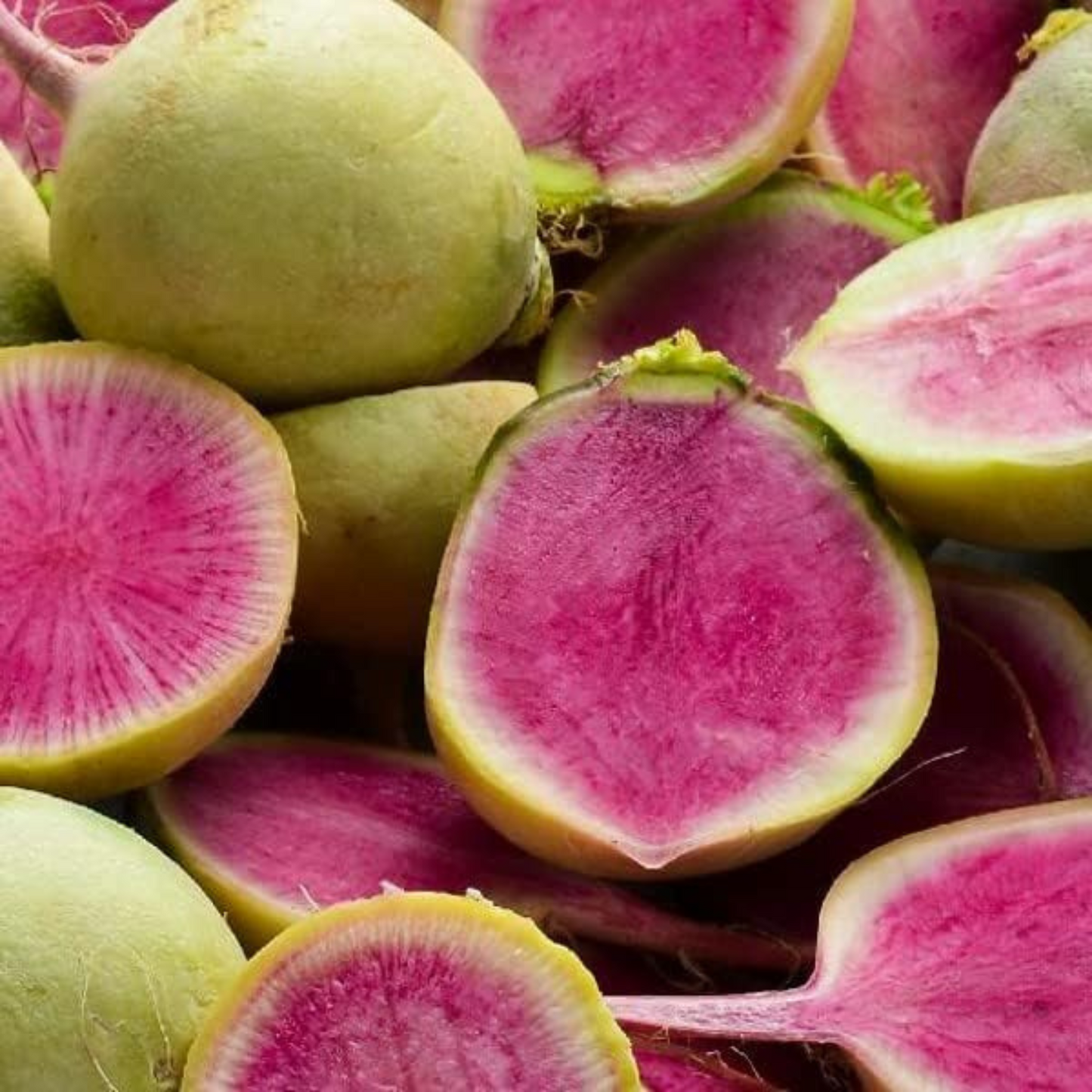 Colorful watermelon radish seeds for planting. Graines de radis pastèque colorées à planter.