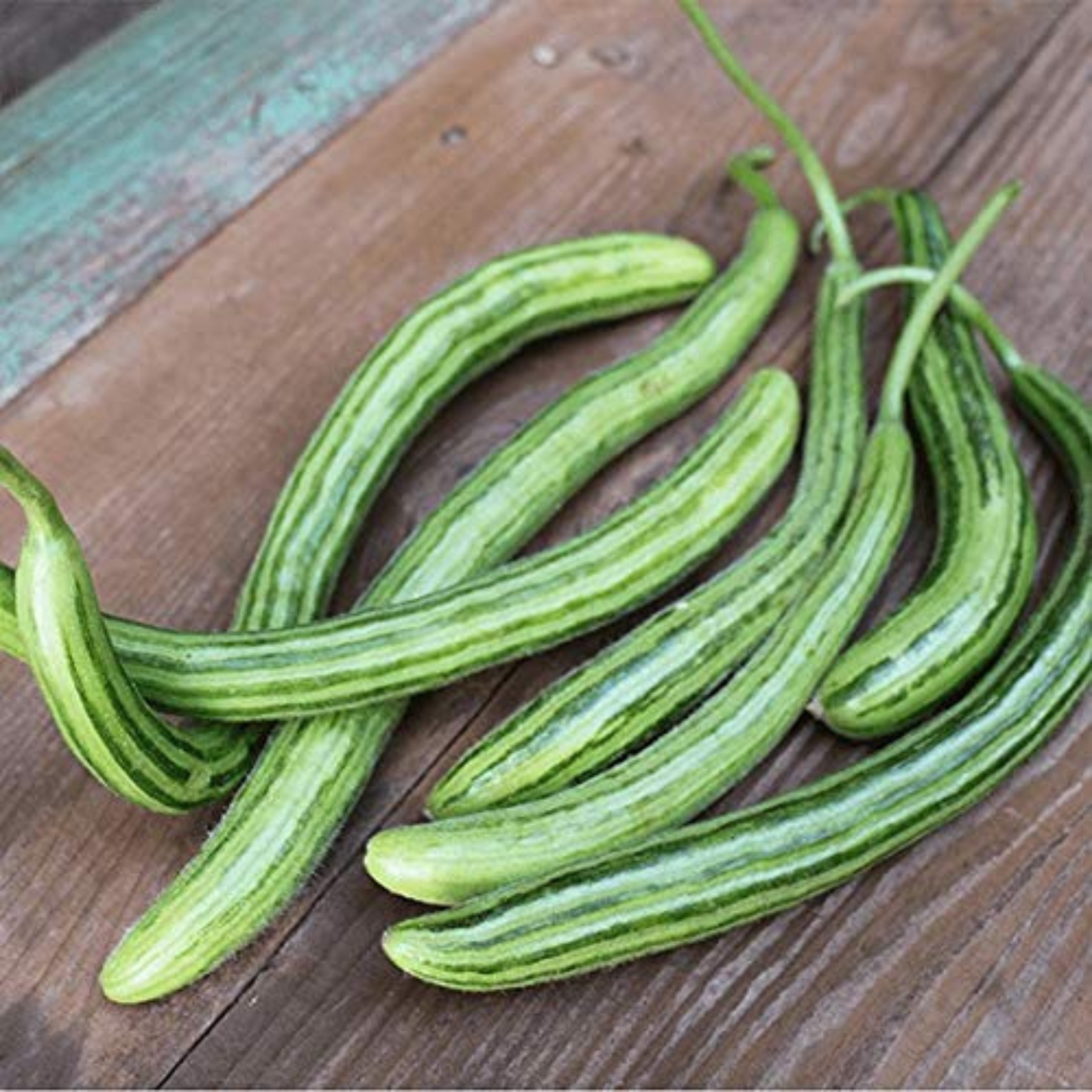 Long, lean, and luscious snake Melon Cucumbers. Long, maigre et succulent serpent Melon Concombres.