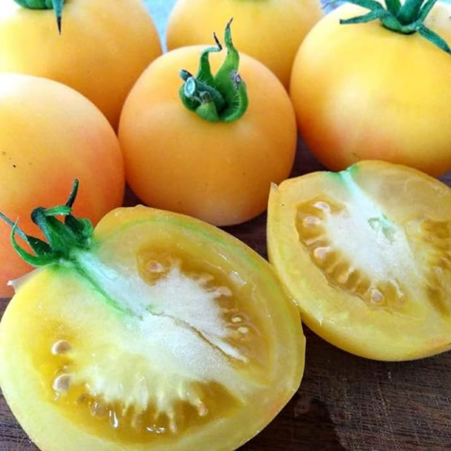 Enjoy delicious, healthy, and sustainable tomatoes. Dégustez des tomates délicieuses, saines et durables.