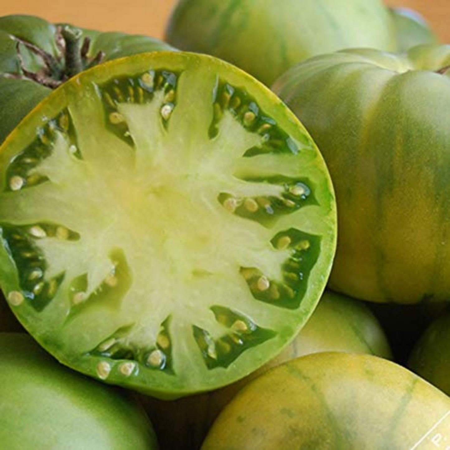 Grow delicious green tomatoes with Aunt Ruby's Tomato. Cultivez de délicieuses tomates vertes avec la tomate de tante Ruby.