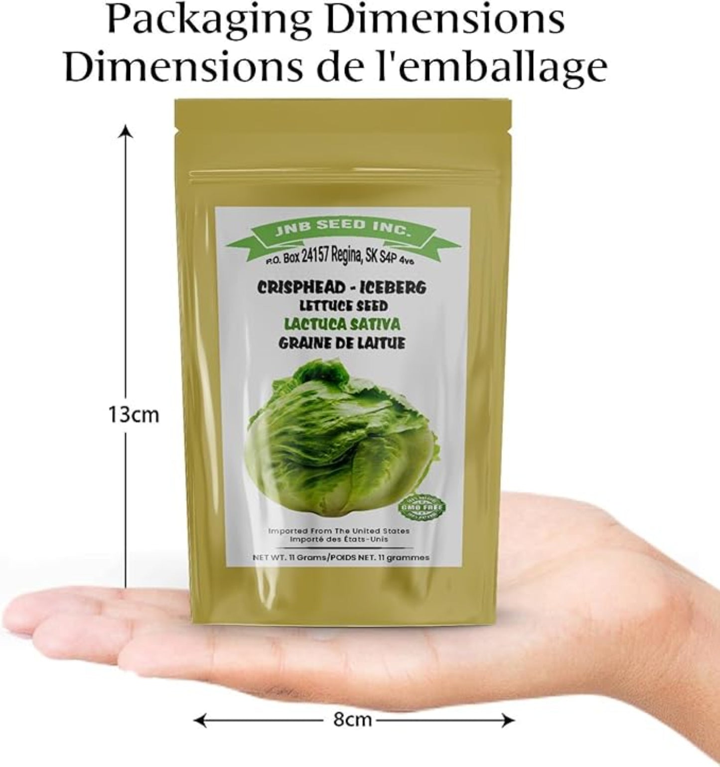 Lettuce Iceberg Seed packet dimensions Dimensions du paquet de graines de laitue Iceberg