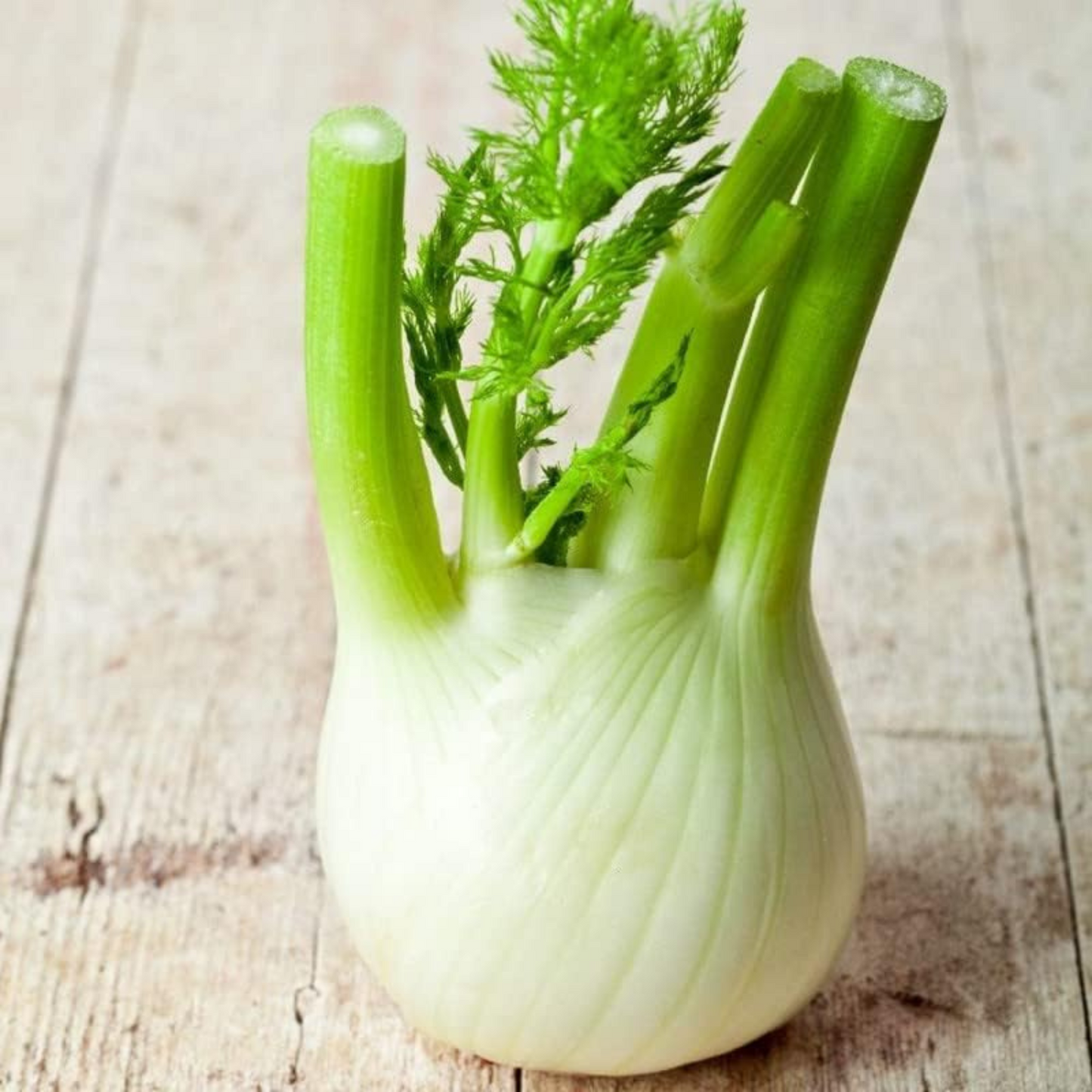 A popular herb among chefs and home cooks. Une herbe populaire parmi les chefs et les cuisiniers à domicile.