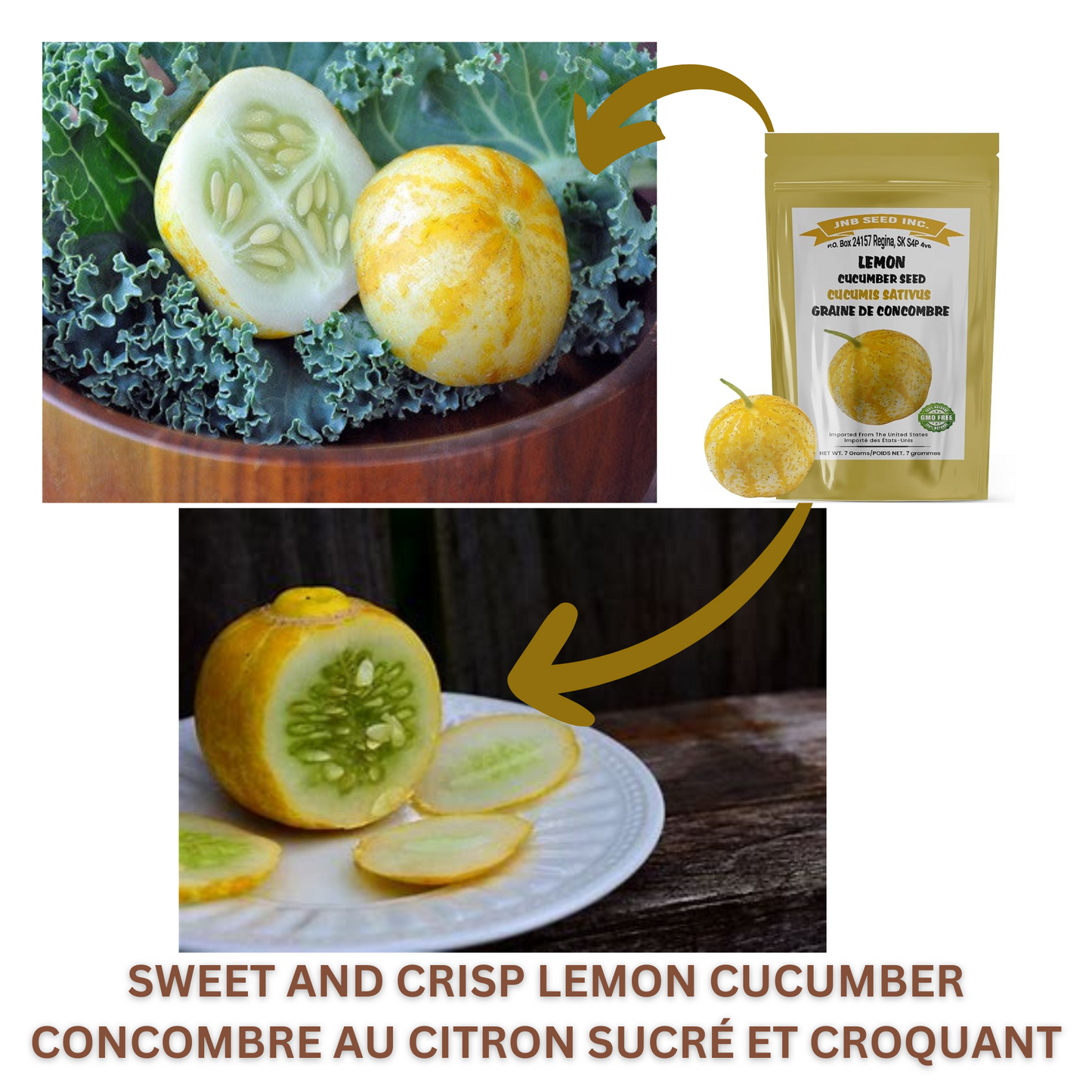 Lemon cucumber shows its sweet & crisp texture. Le concombre citronné montre sa texture sucrée et croquante.