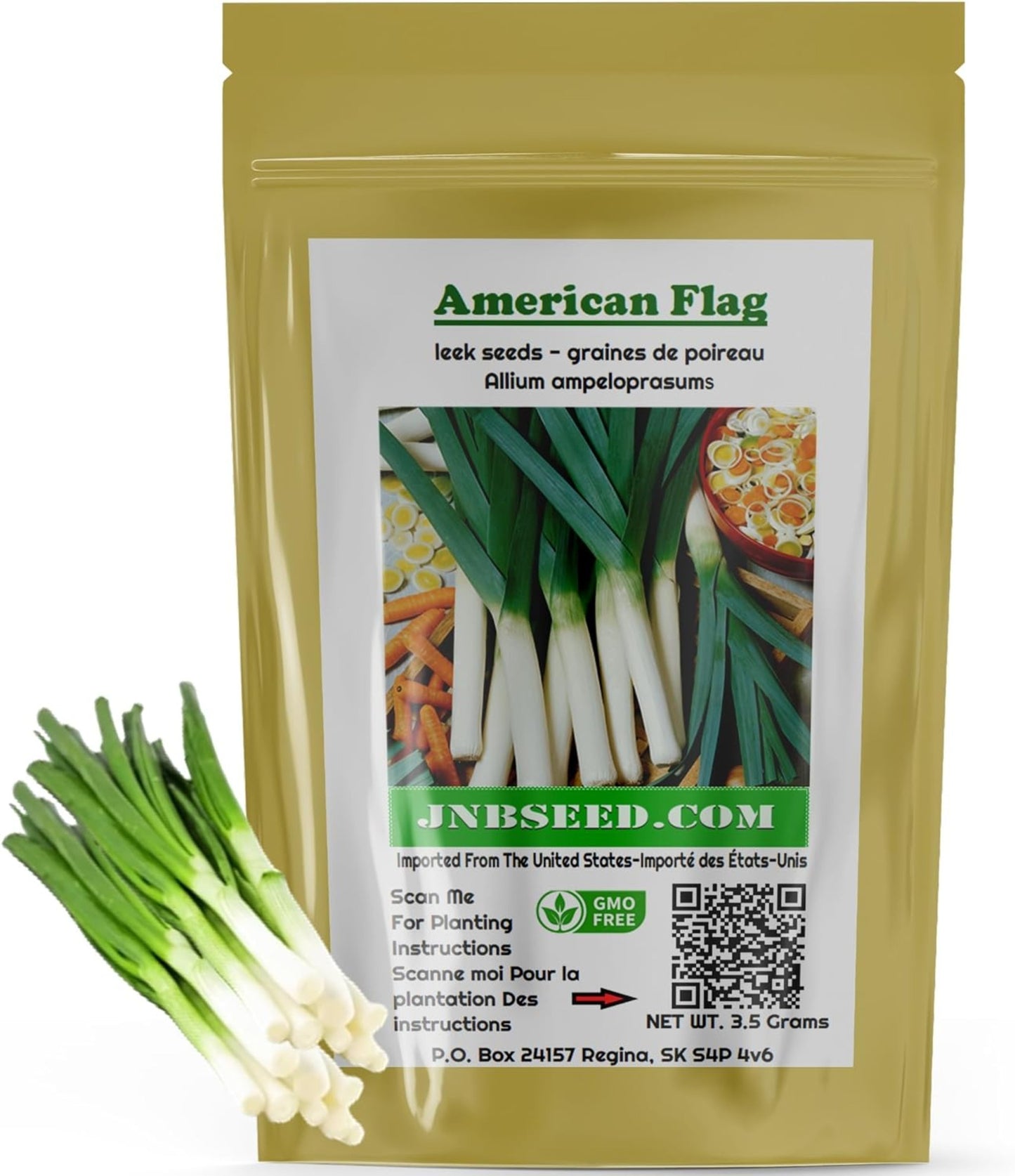 Leek Seeds: Large American Flag (Approx. 1000 Seeds-3.5 Grams) Non GMO Open Pollinated