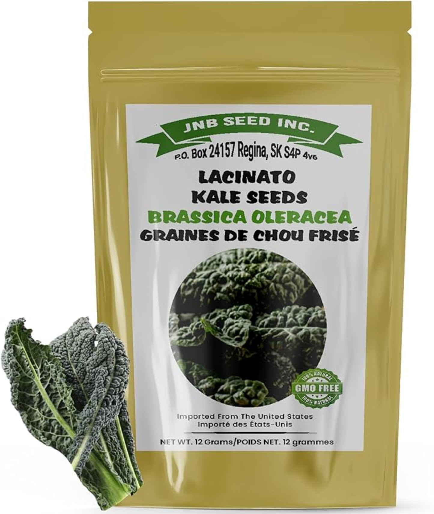 Packet of Lacinato Kale Seed Sachet de graines de chou frisé Lacinato