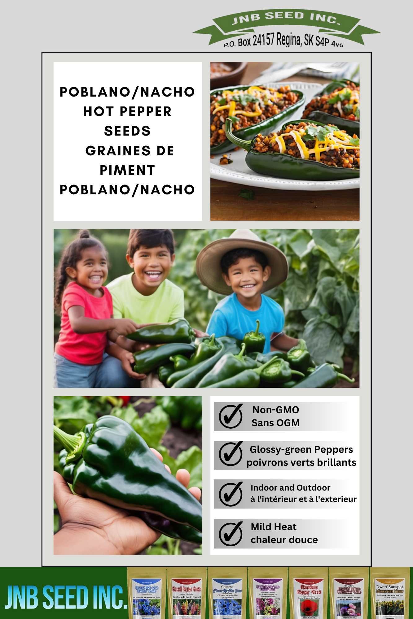 Poblano Hot Pepper Seeds Pepper Seed GMO free garden Poblano Hot Pepper Seeds graines de poivre jardin sans OGM