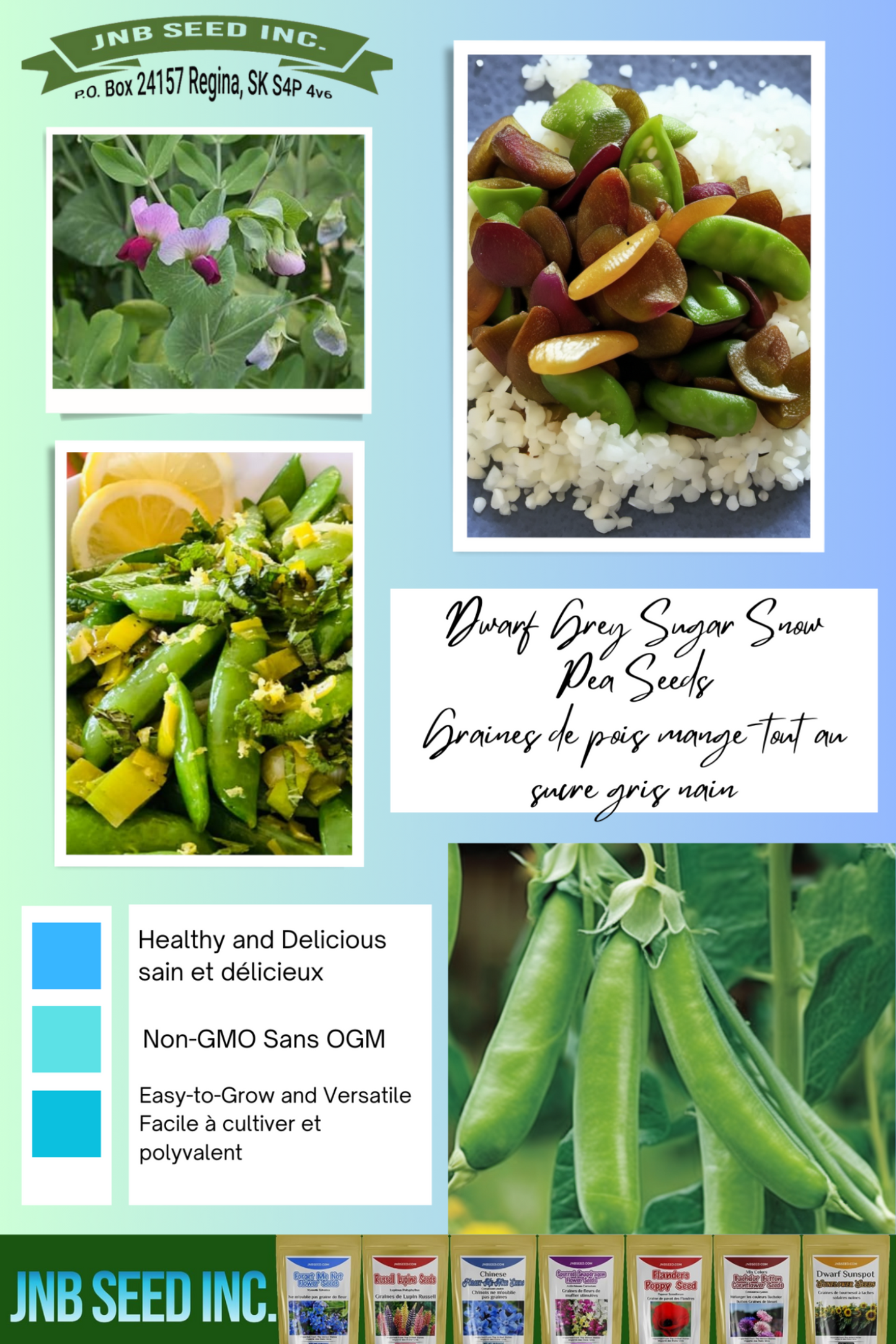 Start Snow Pea Garden with Dwarf Grey Sugar Seeds Commencez le jardin de pois mange-tout avec des graines de sucre gris nain