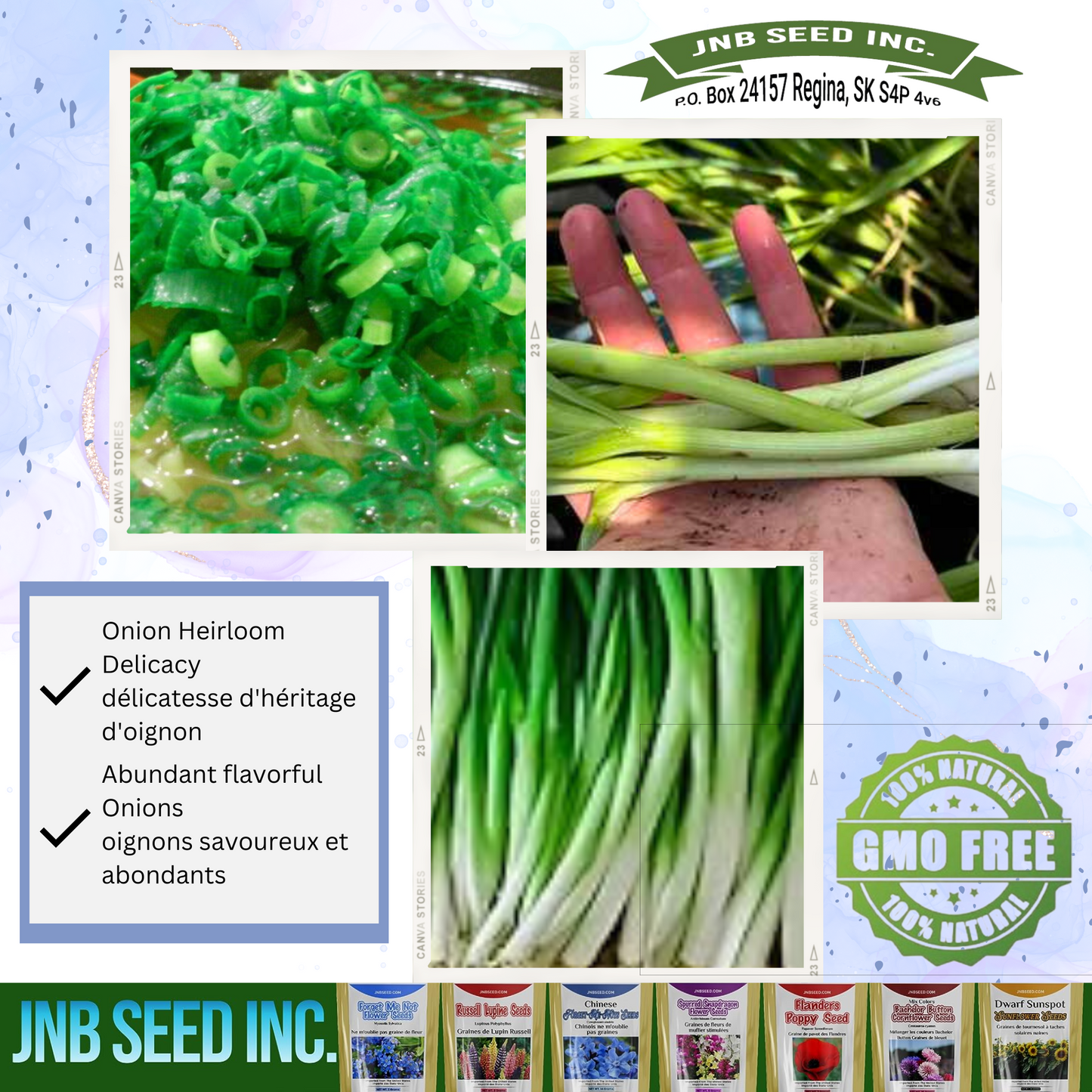 Tokyo Long Bunching Onion Seeds - for Culinary Graines d'oignon à long bouquet de Tokyo - pour culinaire