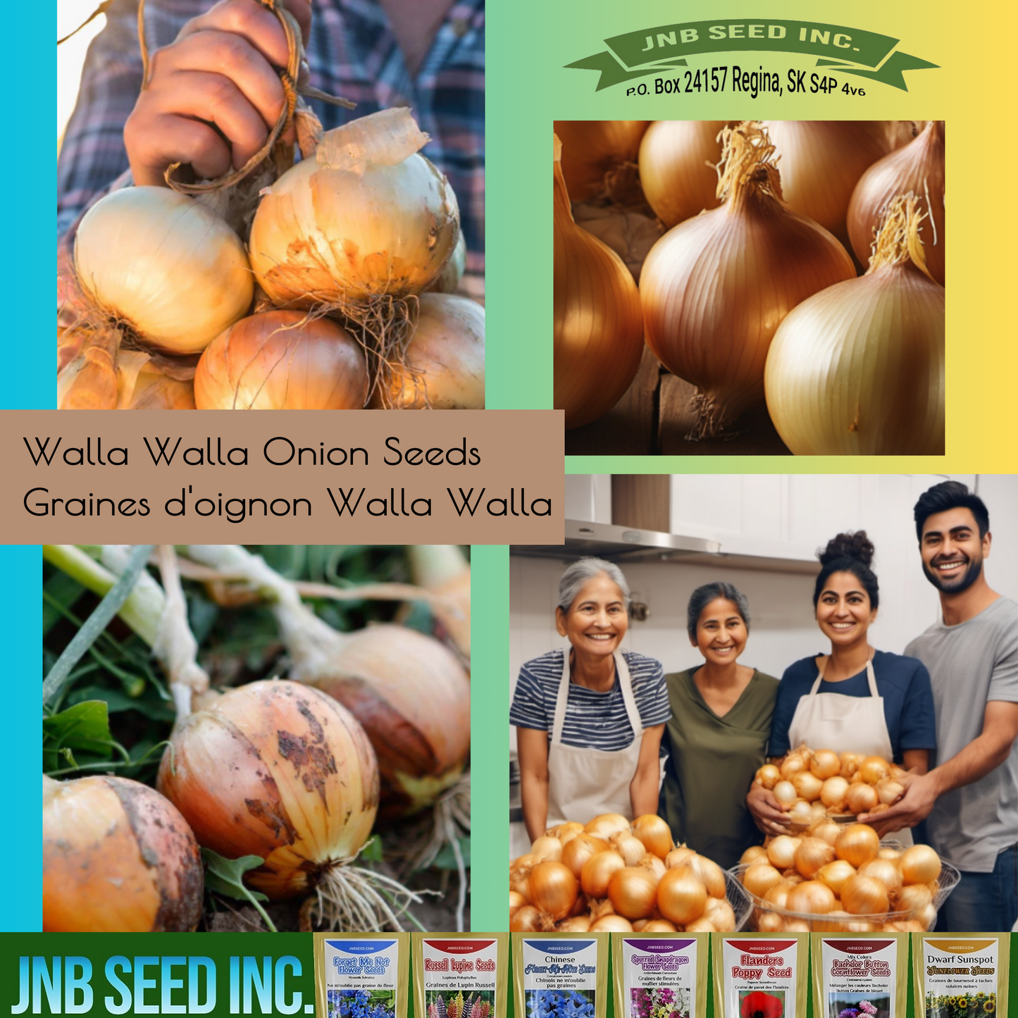 Walla Walla Onion Seeds - Perfect for Homegrown Flavor Graines d'oignon Walla Walla - Parfaites pour une saveur locale