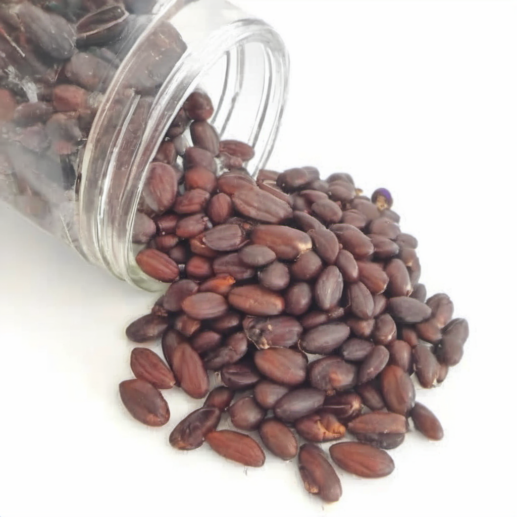 Dark Red Seed Beans in a jar Haricots de graines rouges foncées dans un pot