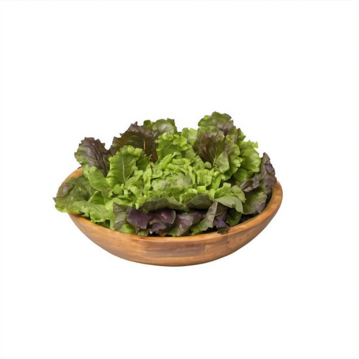 Red Sails Lettuce in a white background Red Sails laitue en blanc