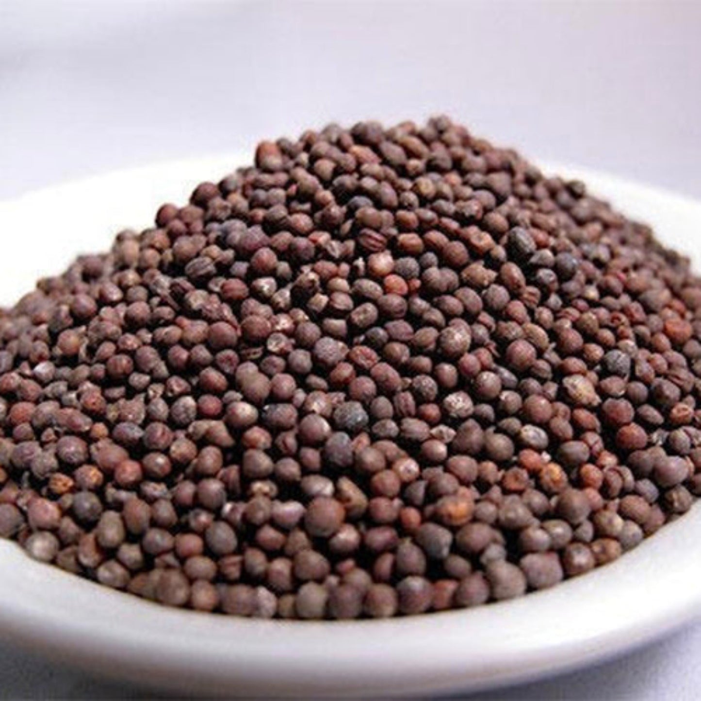 Vibrant red cabbage seeds in a bowl Graines de chou rouge vibrantes dans un bol