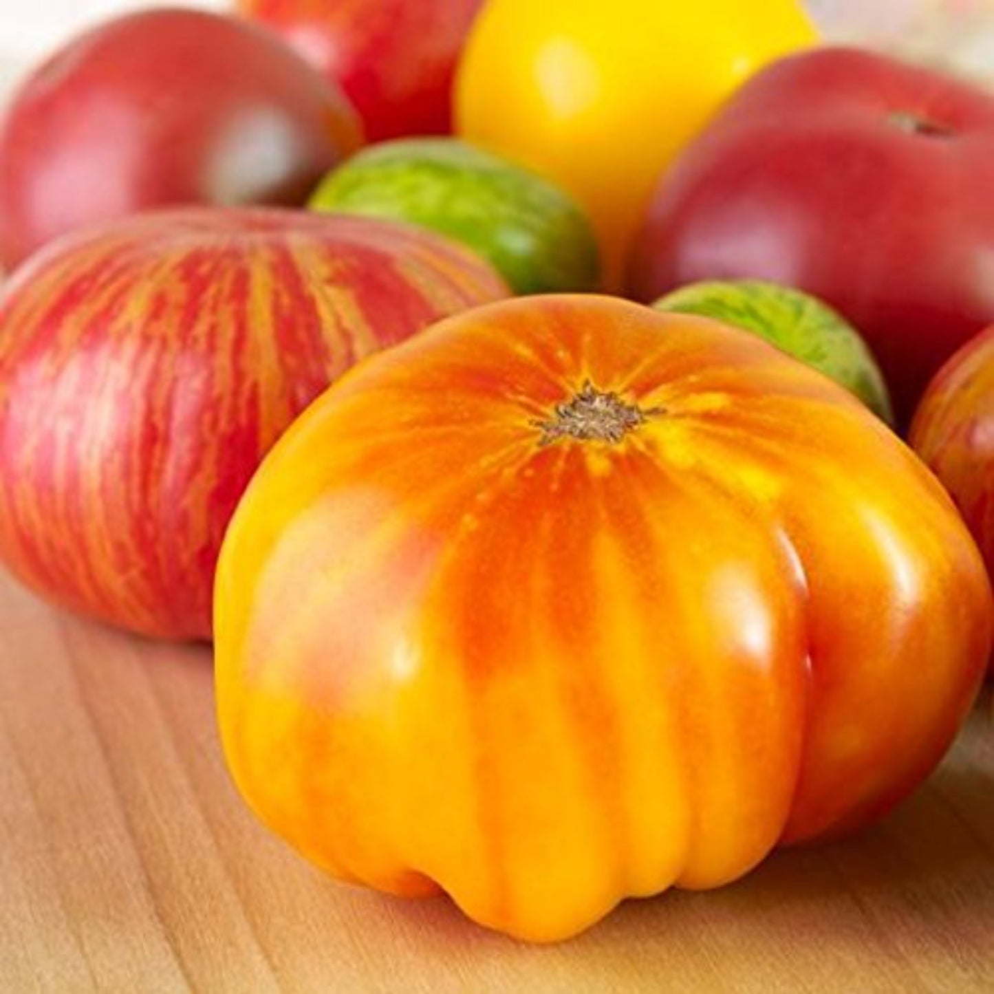 Hillbilly Tomato seeds, highlighting quality Graines de Hillbilly Tomato, mettant en avant la qualité