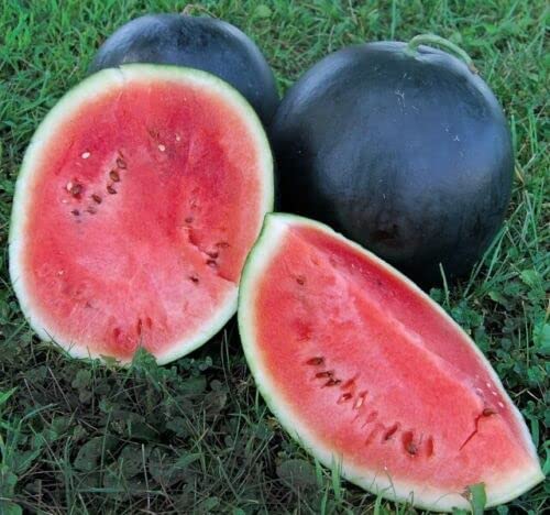 sliced fresh Black Diamond Watermelons backyard ground Tranches de pastèques Black Diamond fraîches au sol d'arrière-cour