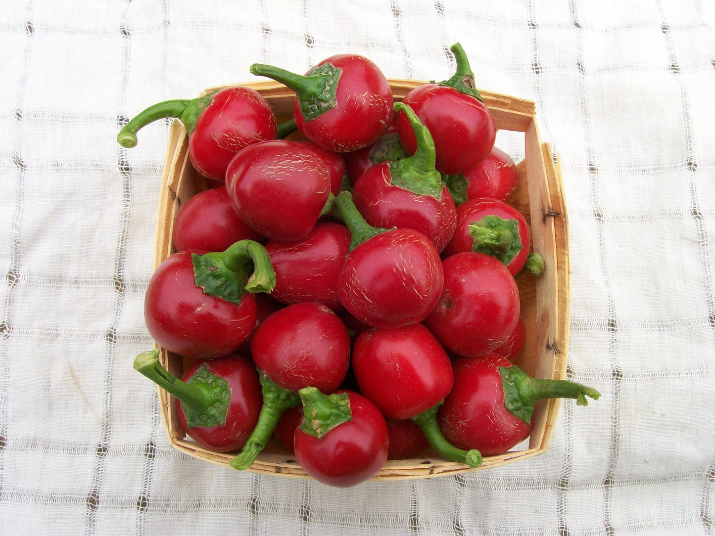 Bunch of red cherry hot pepper in a basket Bouquette de poivre rouge de cerise dans un panier