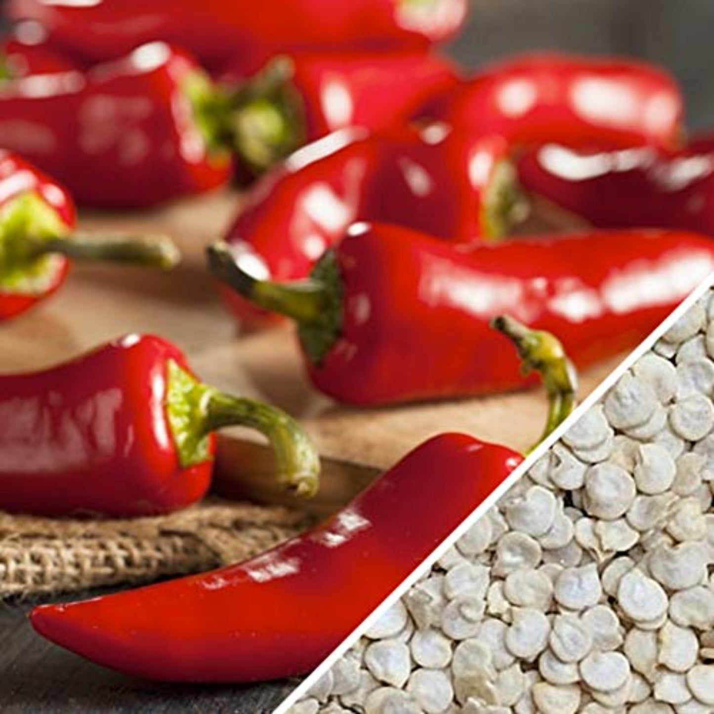 Fresno Chili Pepper Seeds for Gardening Graines de piment Fresno pour le jardinage