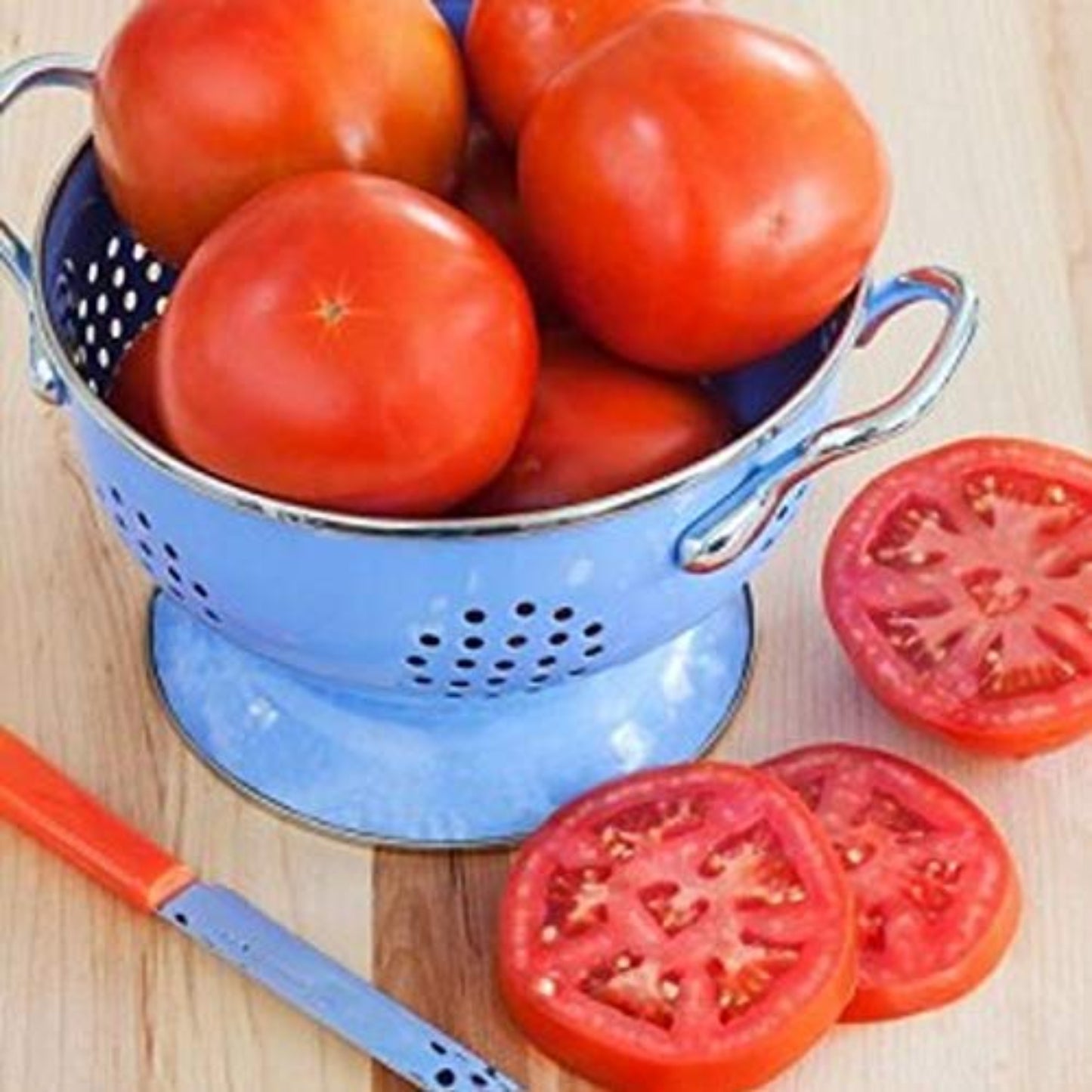 Homestead 24 Tomato Slice tomatoes Homestead 24 tomates en tranches de tomates