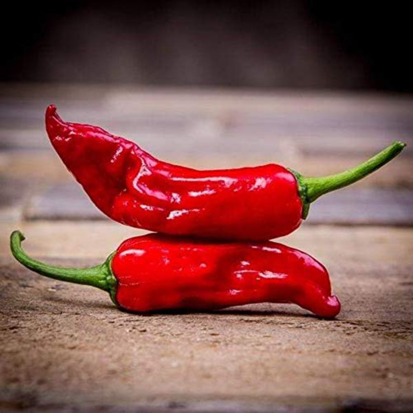 Authentic Italian Pepperoncini pepper Authentique poivre italien Pepperoncini