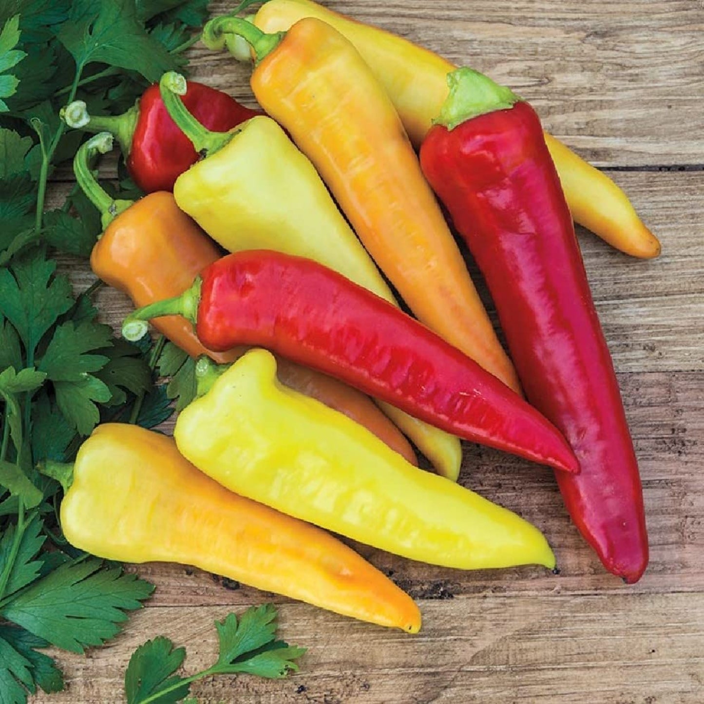 Sweet Hungarian Wax Pepper Seeds for Home Gardening Graines de poivre de cire hongrois doux pour le jardinage domestique