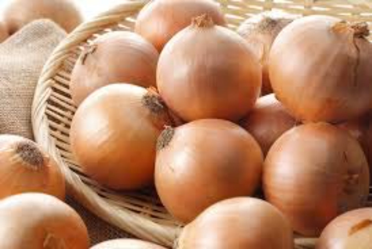 Walla Walla Onion Seeds - Grow Sweet Onions at Home Graines d'oignon Walla Walla - Cultivez des oignons doux à la maison