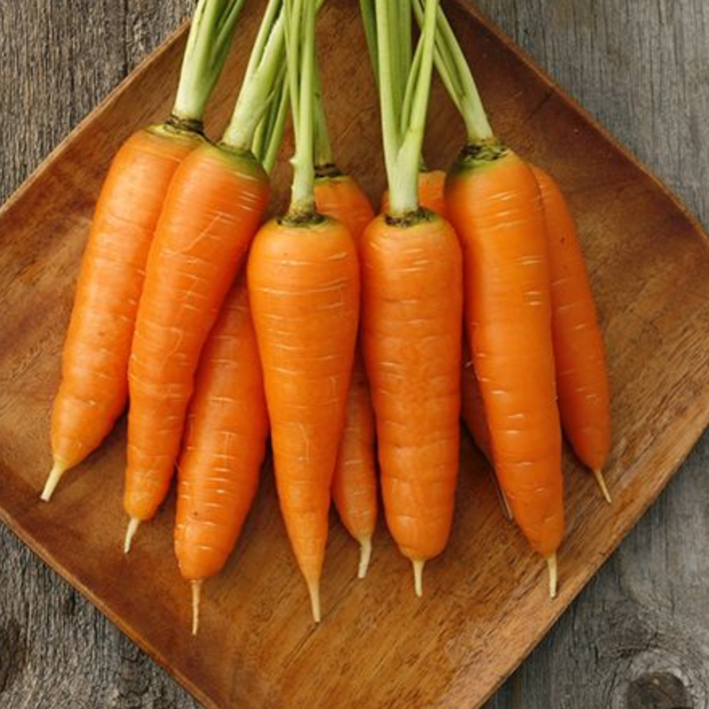 Pack of Great Half Long Danvers Carrot Seeds Paquet de graines de carotte Danvers mi-longues