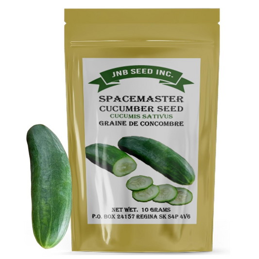 Grow Spacemaster cucumbers without the sprawl! Cultivez des concombres Spacemaster sans l’étalement !