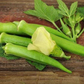 Vibrant okra vegetable, essential in diverse recipes. Légume de gombo vibrant, indispensable dans diverses recettes