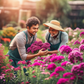 Vibrant Sweet William seeds to brighten up your garden Graines vives de Sweet William pour égayer votre jardin