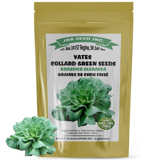 Collard Seeds Vates Seeds Non-GMO Heirloom Vegetable. Collard Seeds Vates Seeds Légume ancien sans OGM