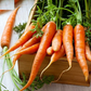 Tendersweet Carrot Fresh, vibrant orange carrots. Carotte tendre et sucrée Carottes orange fraîches et vibrantes.