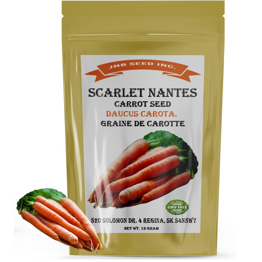Scarlet Nantes market favorite with rich, sweet flavor. Écarlate Nantais favori du marché avec une saveur riche et sucrée.