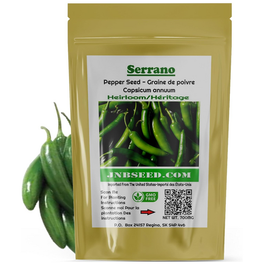 Spicy Serrano hot pepper seed on white background. Graine de piment Serrano épicé sur fond blanc.
