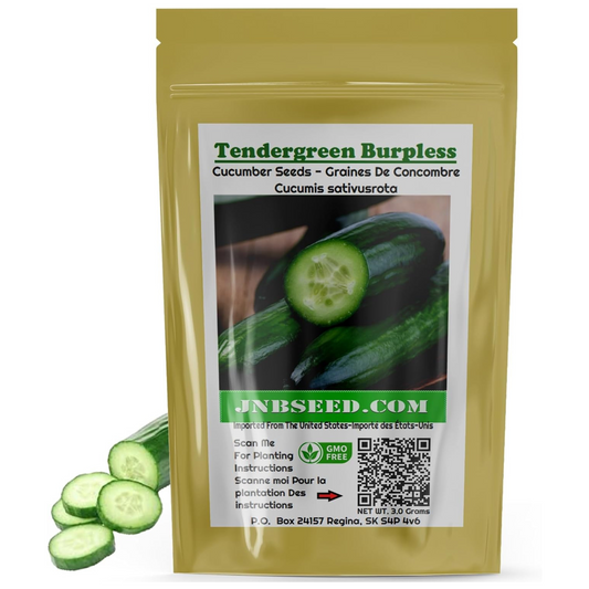 Pack of Tendergreen Burpless Cucumber for your garden. Pack de concombre sans rot Tendergreen pour votre jardin.