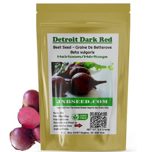 Envision the green foliage of Detroit Dark Red Beets Imaginez le feuillage vert des betteraves rouge foncé de Detroit