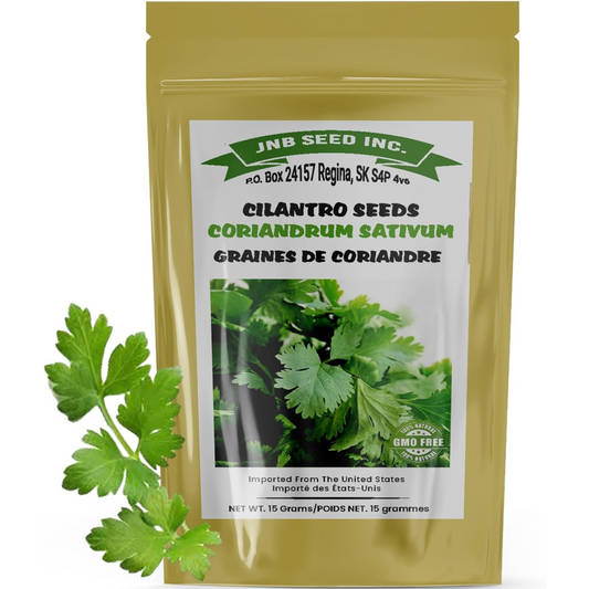 Our cilantro is aromatic and perfect for culinary magic. Notre coriandre est aromatique et parfaite pour la magie culinaire.