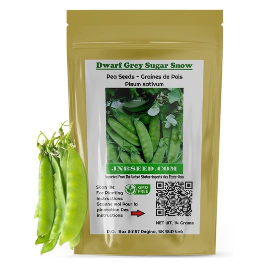 Small, grey perfect for planting in small spaces. Petit, gris parfait pour planter dans de petits espaces.