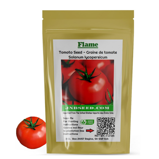 Grow Your Own Vibrant and Flavorful Tomatoes. Cultivez vos propres tomates vibrantes et savoureuses.