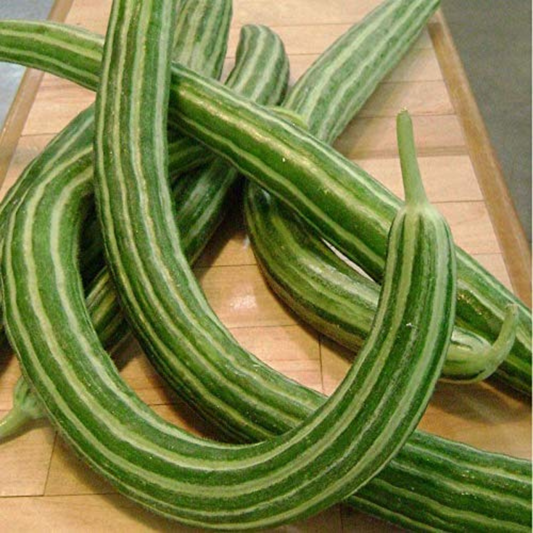 Unlock the secret garden of flavors with Snake Melon. Débloquez le jardin secret des saveurs avec Snake Melon.