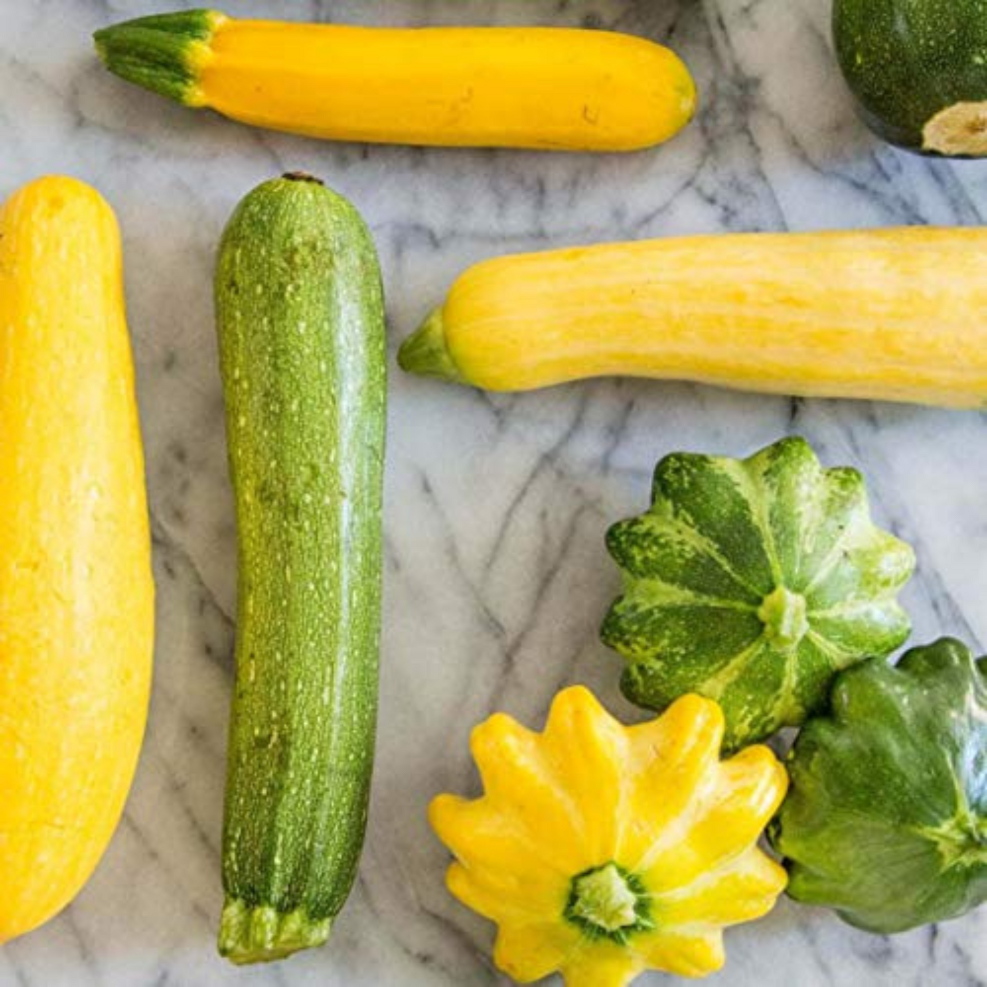 Squash seeds perfect for planting in the summer garden. Graines de squash parfaites pour la plantation dans le jardin d'été.