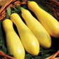 Top view of straightneck squash seeds in a pile.Vue de dessus de graines de courge droites dans une pile.