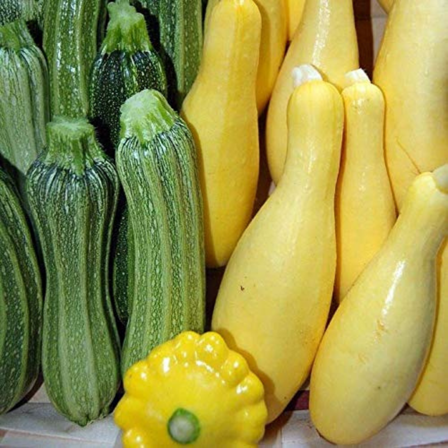 Bountiful harvest of vibrant squash in the summer. Une récolte abondante de courges vibrantes en été.