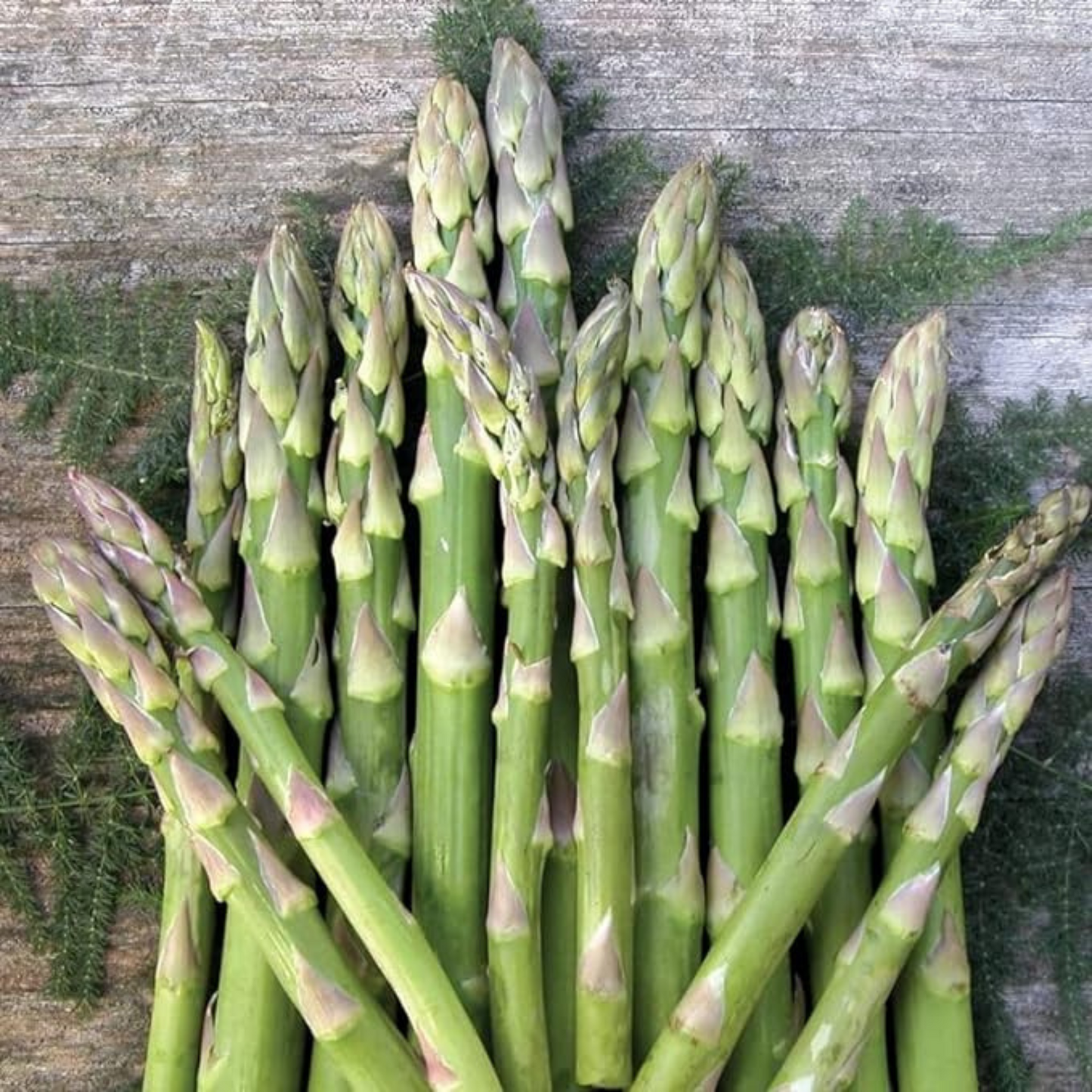 Freshly harvested asparagus from the green garden. Asperges fraîchement récoltées dans le jardin verdoyant.