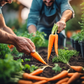 Tendersweet Carrot plant now for a delicious harvest! Tendre-doux Plant de carotte maintenant pour une délicieuse récolte !