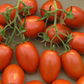 Bunch of Roma VF Tomatoes Bunch de tomates VF roms