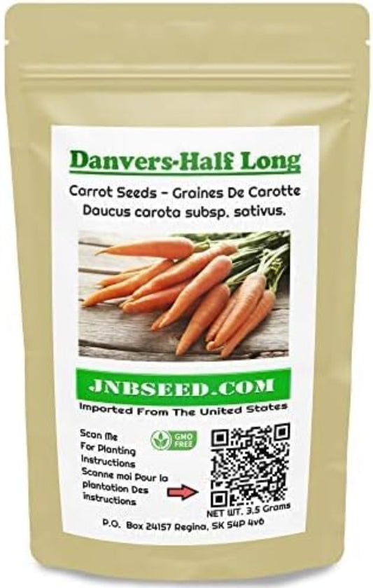 High-Quality Half Long Danvers Carrot Seeds Graines de carotte Danvers mi-longues de haute qualité