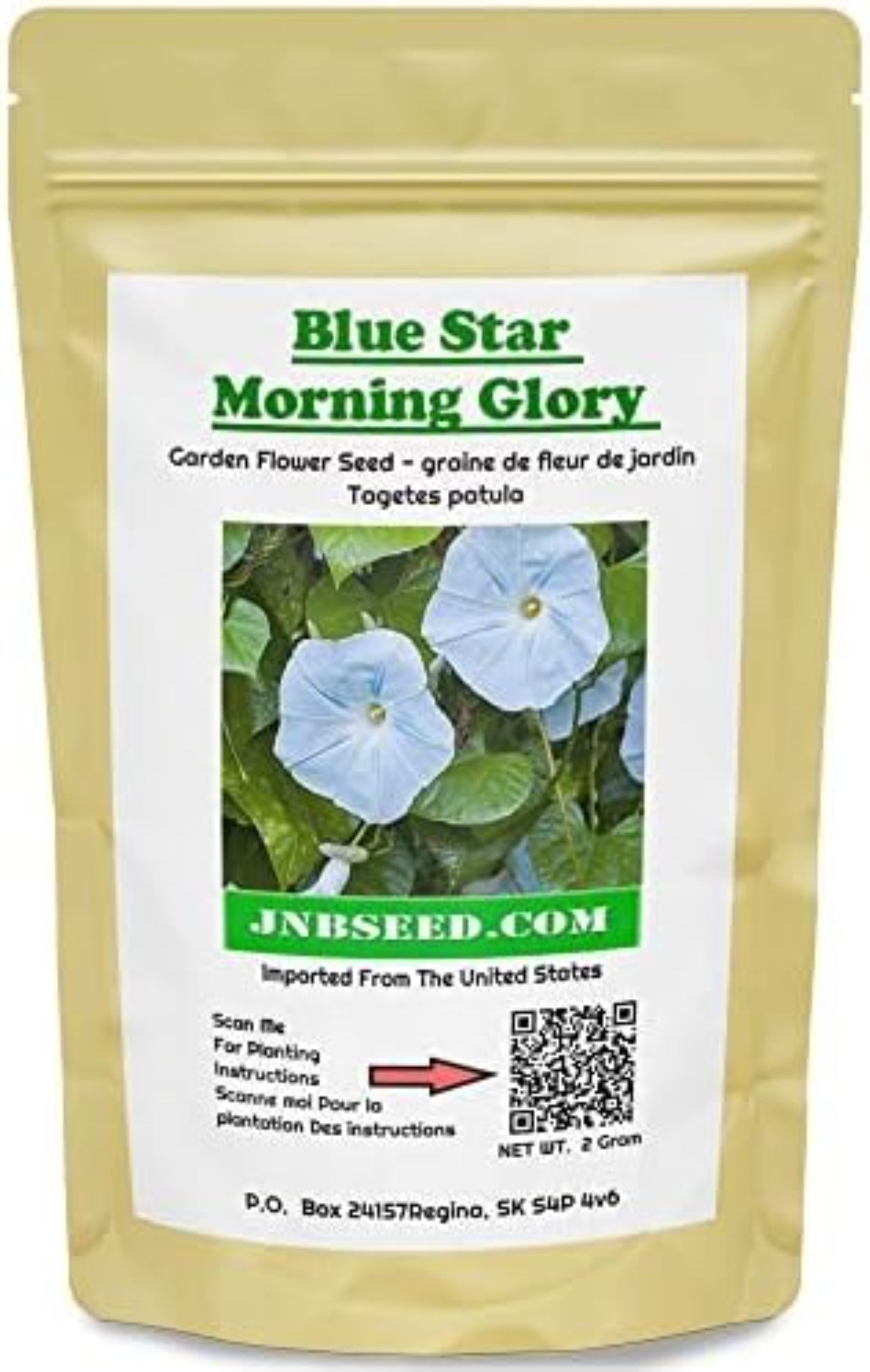 Blue Star Morning Glory Garden Flower Seed pack ideal for Canada planting Pack de graines de fleurs de jardin Blue Star Morning Glory, idéal pour la plantation au Canada