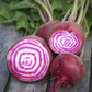 Garden-fresh beets featuring purple and white stripes. Betteraves fraîches du jardin avec des rayures violettes et blanches.